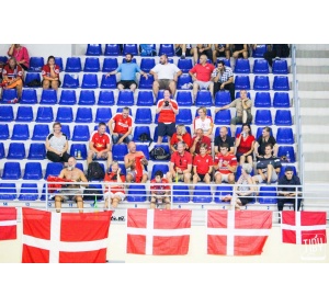 MATCH 5 FRANCE-DANEMARK