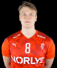 HERMANSEN Valdemar Schiødt