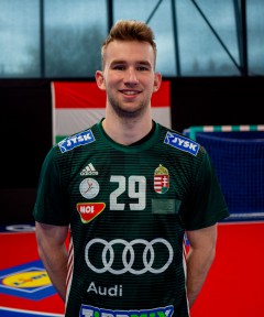 Ludman Marcell Csaba